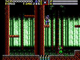 Ninja Gaiden screenshot 5 for Sega Master System